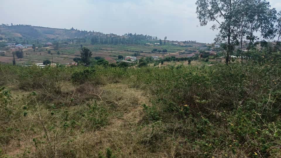 Update 0e90d99c-945e-4d8e-90a9-d73b761fc0d5 6